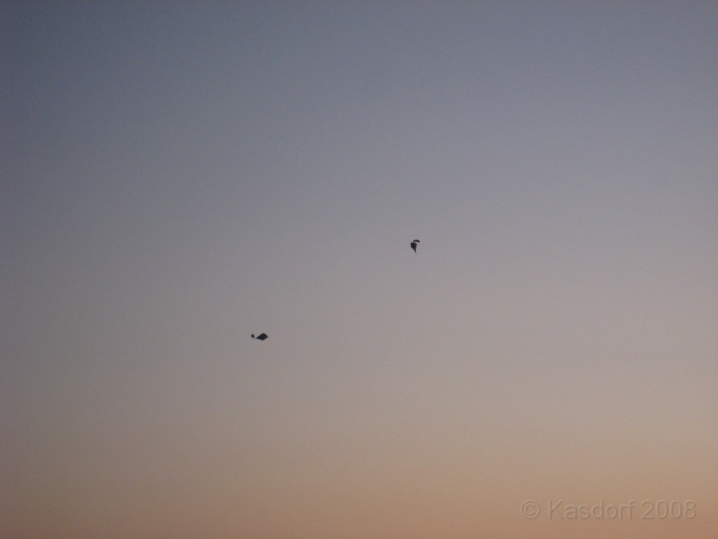 USAF Half Marathon 2009 035.jpg - Sky Divers descending onto the crowd over by the museum.